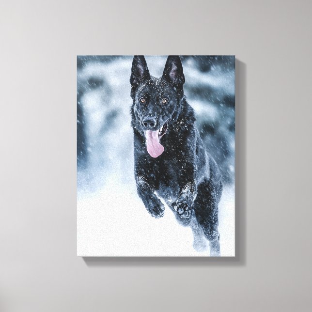 Svart täcke med tysk schäferhund i snö canvastryck (Framsida)
