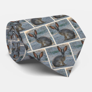 Svart tailed jackrabbit slips