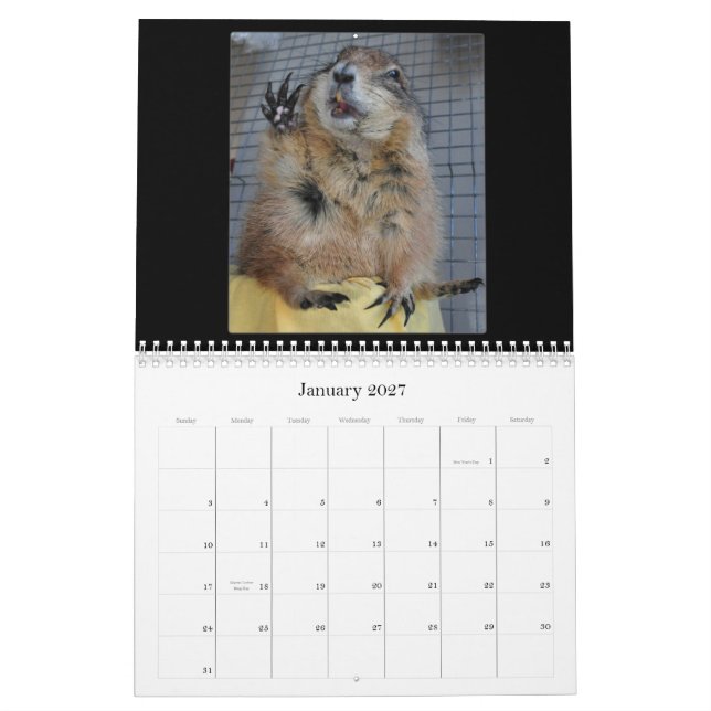 Svart Tailed präriehundar - kalender 2013 (Jan 2027)