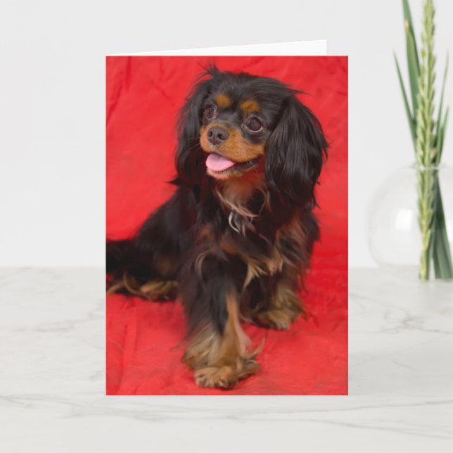 Svart Tan Cavalier King Charles Valp Välkomstkort Kort (Framsida)
