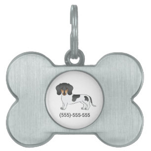 Svart & Tan Piebald Korthårig Dachshund & Nummer ID-bricka Husdjur