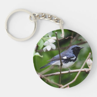 Svart-throated blåttsångare