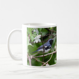 Svart-throated blåttsångare kaffemugg