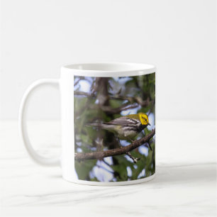Svart-throated grön sångare kaffemugg
