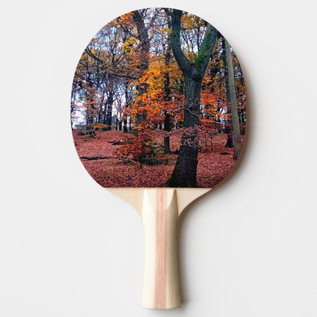 Svart träd, med orange löv pingisracket (Framsidan)