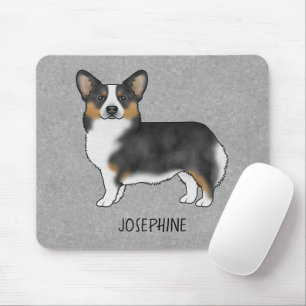Svart trefärgad Pembroke Welsh Corgi med namn Musmatta
