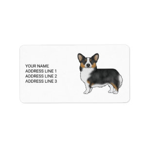 Svart trefärgad Pembroke Welsh Corgi och din text Adressetikett