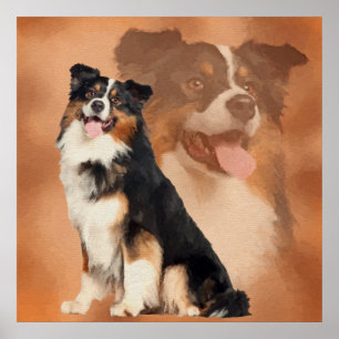 Svart tricolor australian shepherd - Aussie Poster