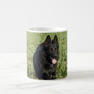 Svart tysk herde för Lacquer Kaffemugg