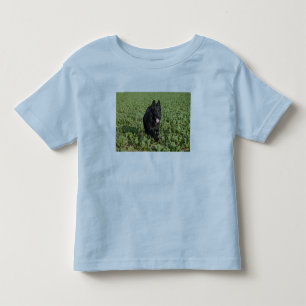 Svart tysk herde för Lacquer Tee Shirt