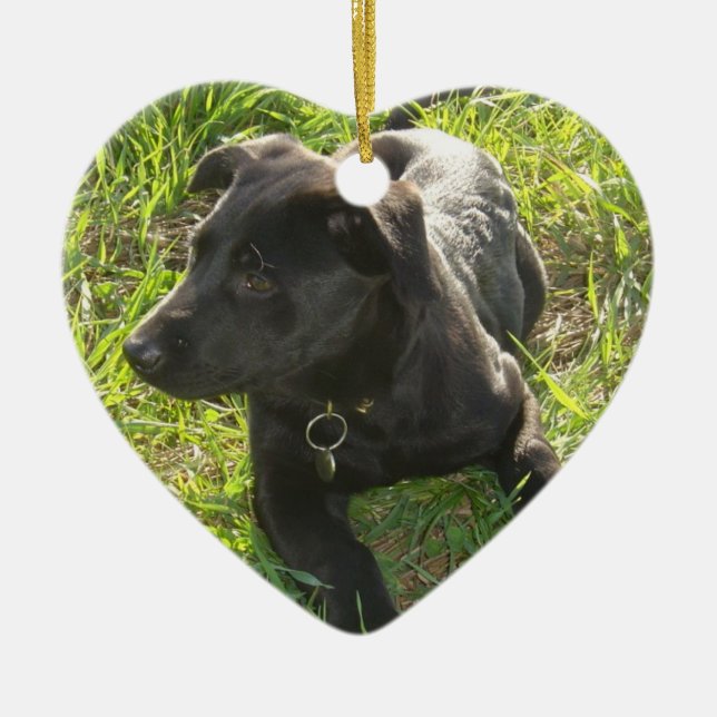 Svart tysk herdevalp för Lacquer Julgransprydnad Keramik (Framsidan)