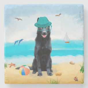 Svart tysk schäferhund på stranden stenunderlägg