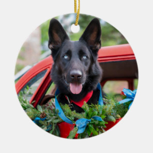 Svart tysk Shephard med Blue Ögon Ornament