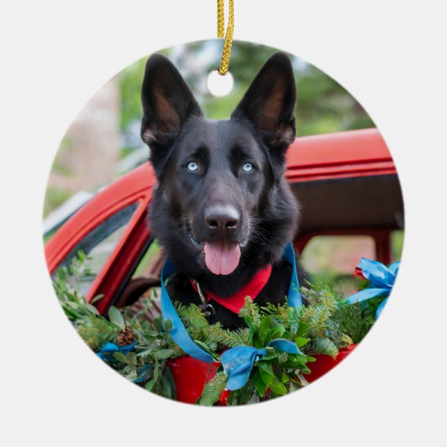 Svart tysk Shephard med Blue Ögon Ornament (Framsidan)