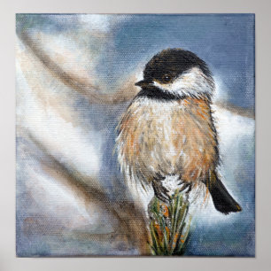 Svart utskrift av kapade chickadee Art Poster