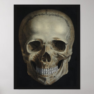 Svart utskrift av vintage Human Skull Poster