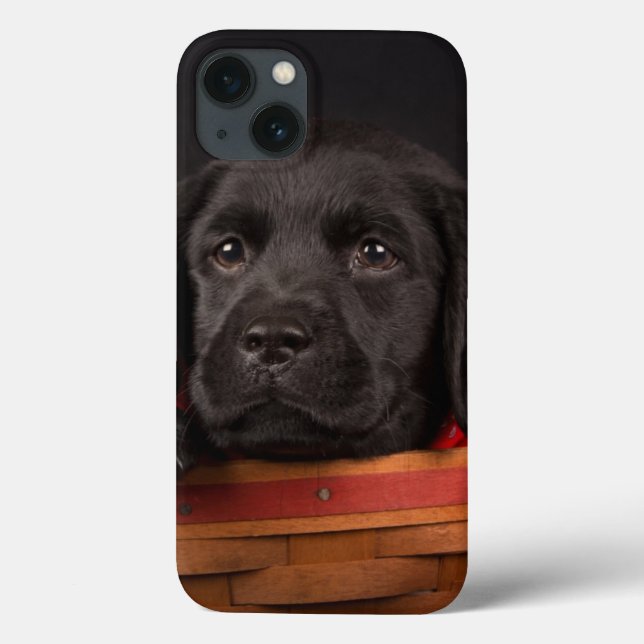 Svart valp för labrador retriever i en basket (Baksida)