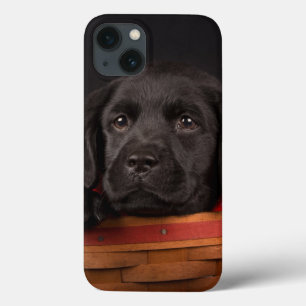 Svart valp för labrador retriever i en basket