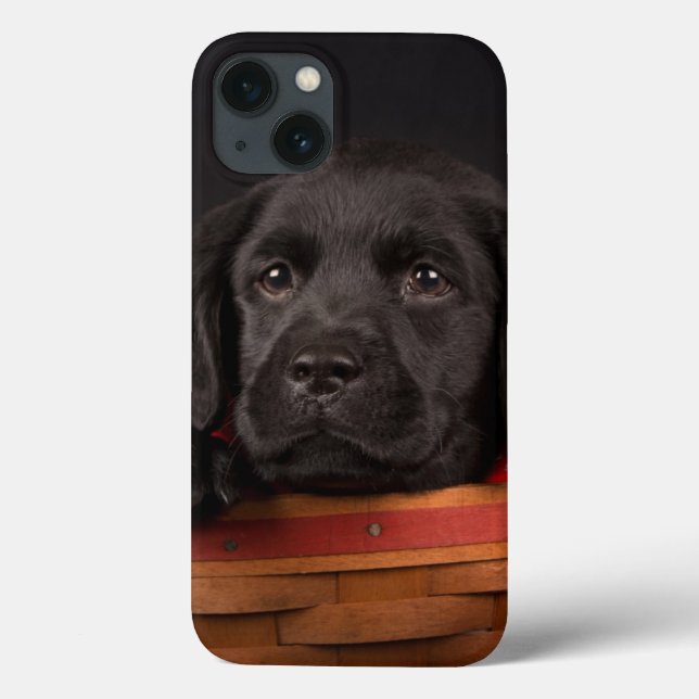 Svart valp för labrador retriever i en basket (Baksida)