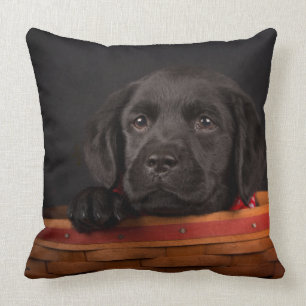Svart valp för labrador retriever i en basket kudde