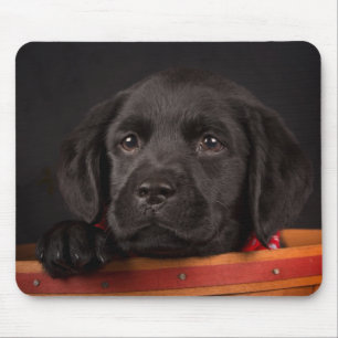 Svart valp för labrador retriever i en basket musmatta