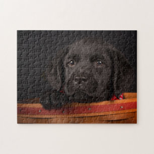 Svart valp för labrador retriever i en basket pussel