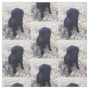 Svart valp för Labrador Retriever Tyg