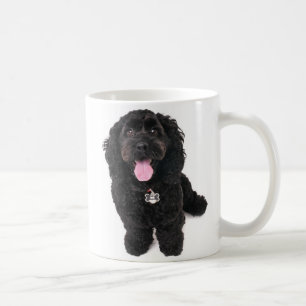 Svart valp som tittar upp kaffemugg