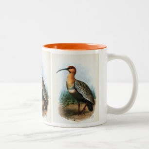 Svart-vänd mot Ibis vintageillustration Två-Tonad Mugg