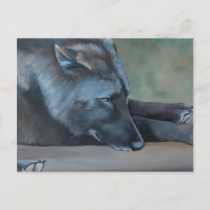 Svart Varg Art-vykort Vykort