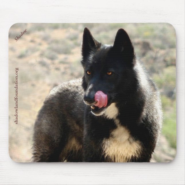 Svart varg Mousepad Musmatta (Framsidan)