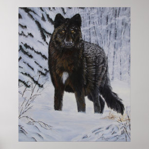 Svart Varg Poster