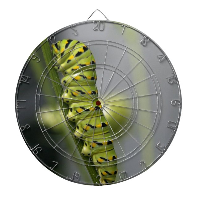 Svart vattenpelare (parsleymask) på Dil Piltavla (Framsidan)