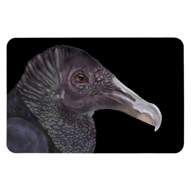 Svart Vculture Illustration Magnet (Horisontell)