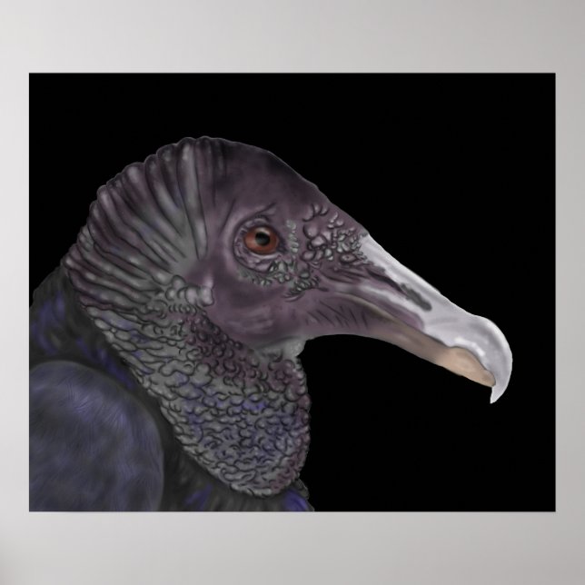 Svart Vculture Illustration Poster (Framsidan)