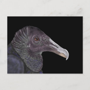 Svart Vculture Illustration Vykort
