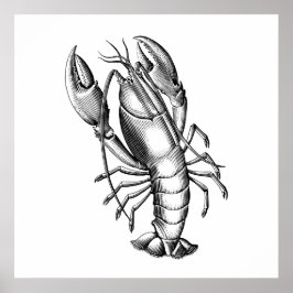 Svart Vintage Lobster Scientific Illustration Poster