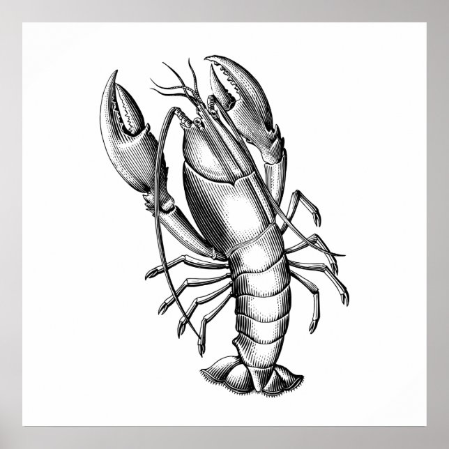 Svart Vintage Lobster Scientific Illustration Poster (Framsidan)