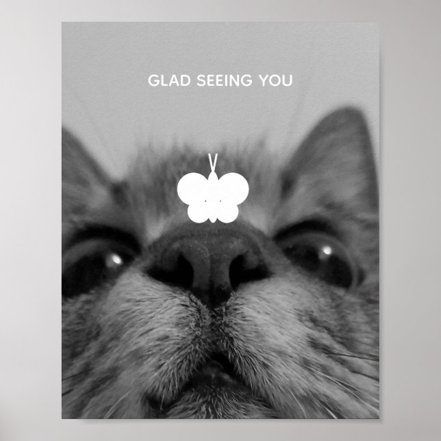 Svart&vit 17 år kattunge poster (Framsidan)