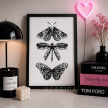 Svart & Vit Affisch Fjäril Trollslända & Moth