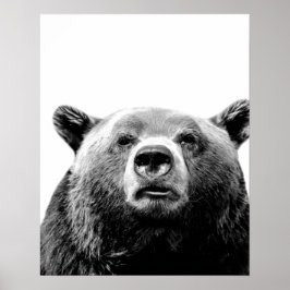 Svart vit björn skogsland djur kuckeliku foto poster