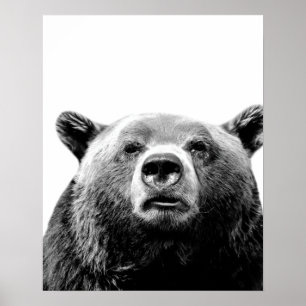 Svart vit björn skogsmarksdjur kpeekaboo foto poster
