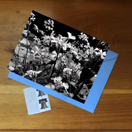 Svart & Vit Blommig Fotografi Vårblommor Vykort