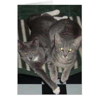 Svart, vit & grå färg hälsningskort