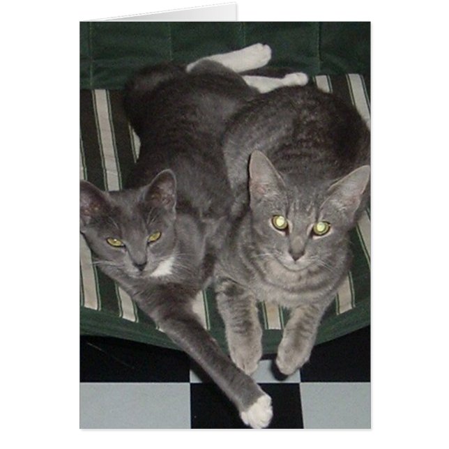 Svart, vit & grå färg hälsningskort (Framsidan)