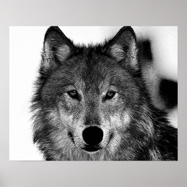 Svart & Vit Grå Varg Konstverk Poster (Framsidan)