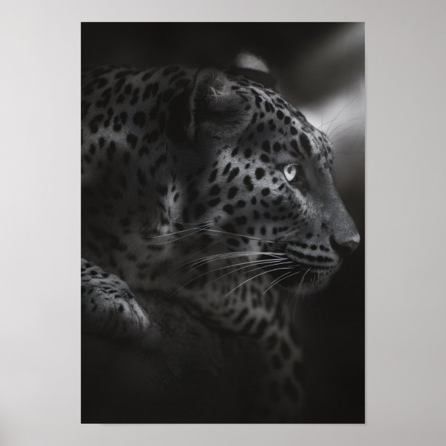 Svart&vit kanna poster (Framsidan)