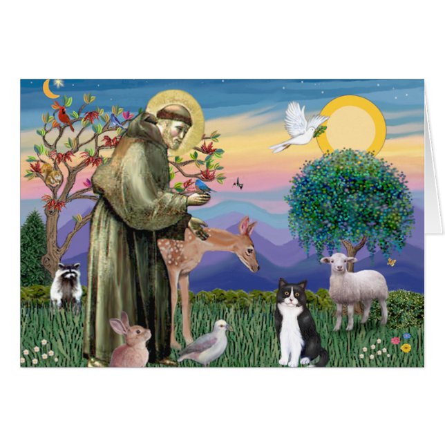Svart & Vit Katt - Sankt Frans Hälsningskort (Framsidan Horizontal)