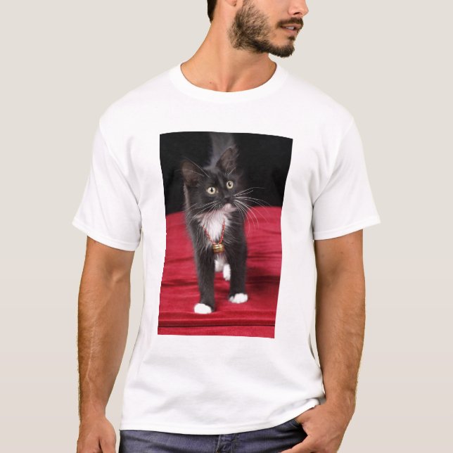 Svart & vit korthårig kattunge, 2 1/2 månader tee (Framsida)