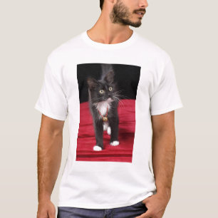Svart & vit korthårig kattunge, 2 1/2 månader tee shirt